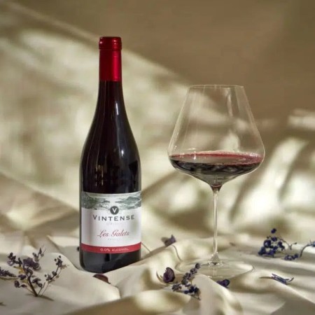 Vintense Les Galets