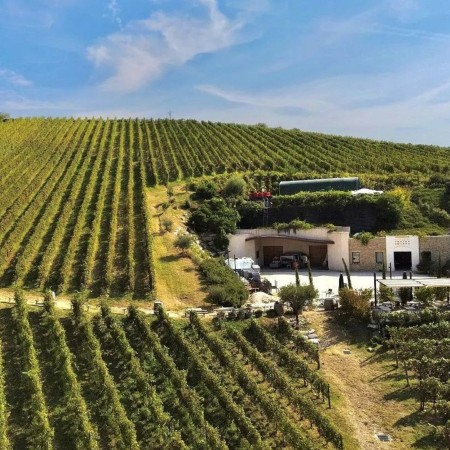 Oddbird Low Intervention Nº 1 Garganega & Vespaiola